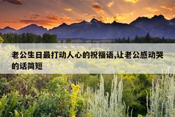 老公生日最打动人心的祝福语,让老公感动哭的话简短