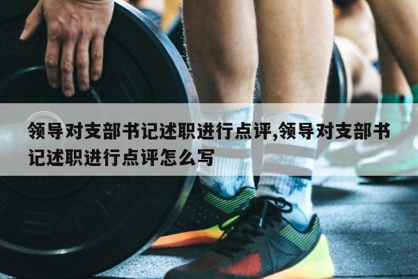 领导对支部书记述职进行点评,领导对支部书记述职进行点评怎么写