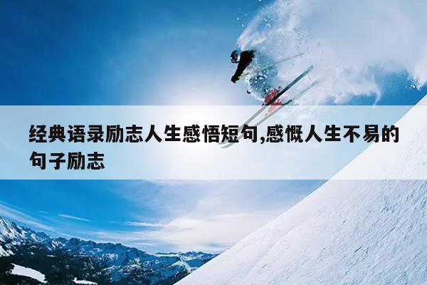 经典语录励志人生感悟短句,感慨人生不易的句子励志